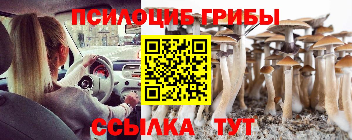 Трёхгорный  где купить   Вход с VPN  Галлюциногенные грибы Psilocybine cubensis 