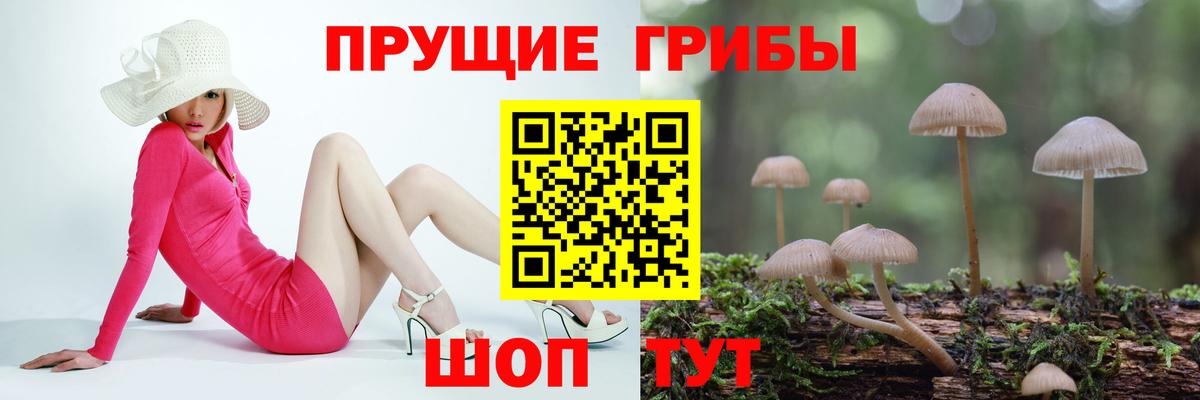 Псилоцибиновые грибы мухоморы Трёхгорный